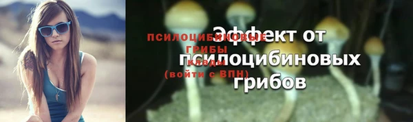 дмт Пестово