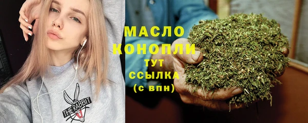 дмт Пестово