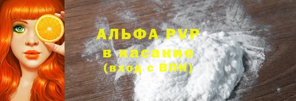 прущая мука Пересвет