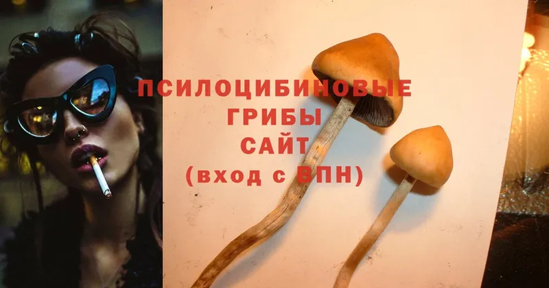 купить  сайты  Серафимович  Галлюциногенные грибы Cubensis 